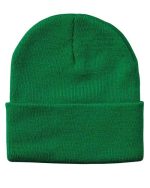 Sportsman SP12 - 12" Solid Cuffed Beanie - Image 19